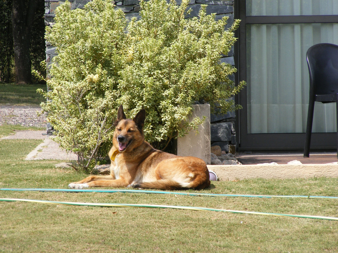 Piedras Del Sol主图