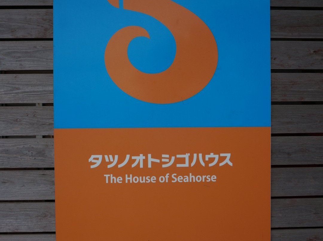 Seahorse House景点图片