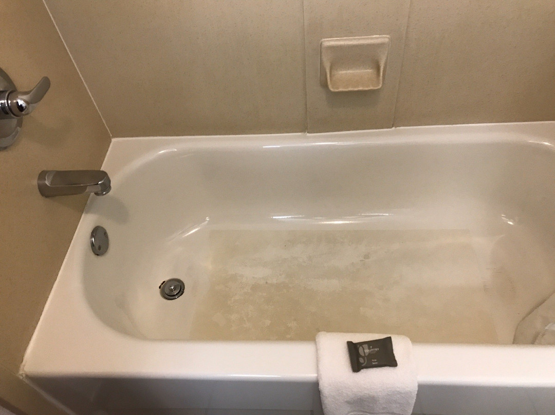 潘翰道尔卡匹陶贝斯特韦斯特旅馆&套房酒店主图