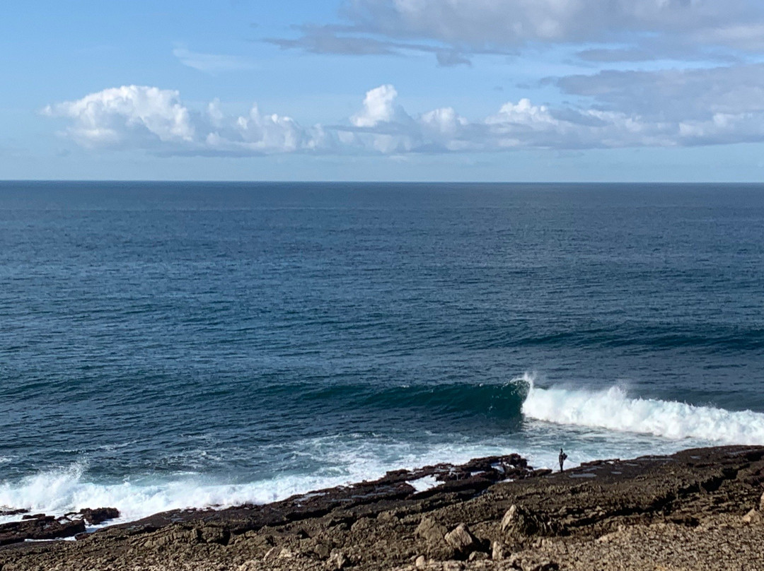 Waves & Lines Surfschool景点图片