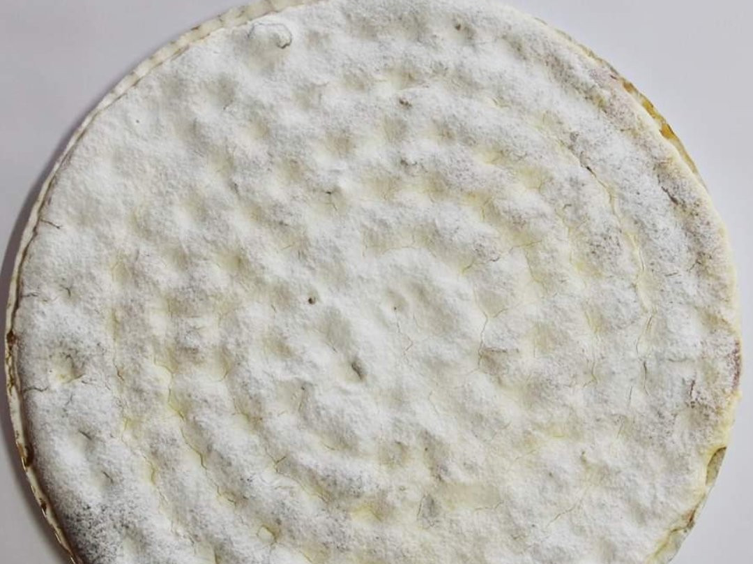 Plaza Mayor-卢戈省必去景点