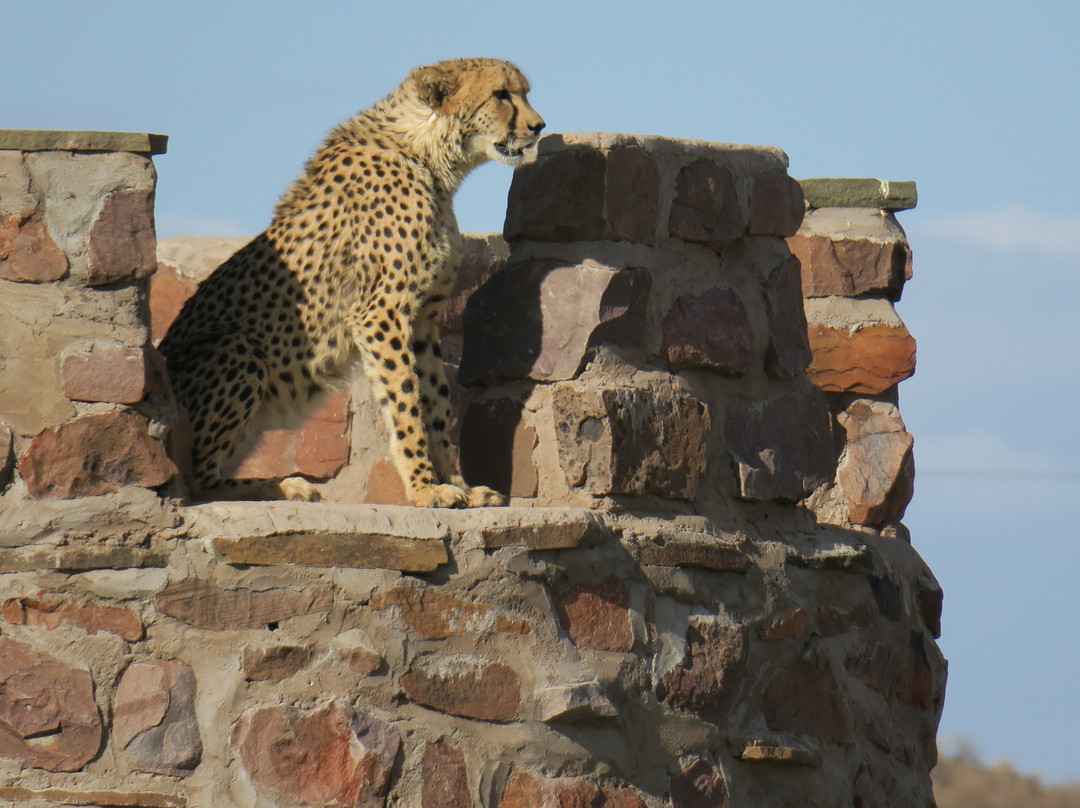 Burgsdorf Guest Farm主图