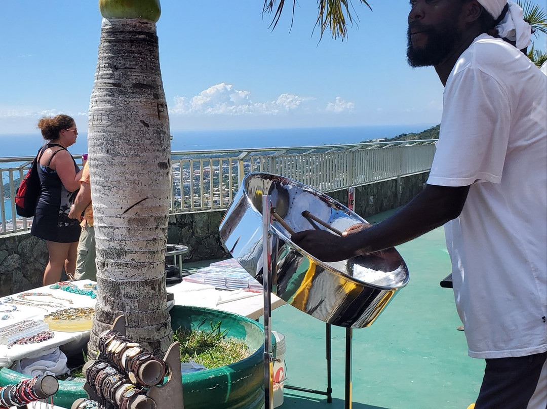 Sunny Liston Tours-圣 托马斯必去景点