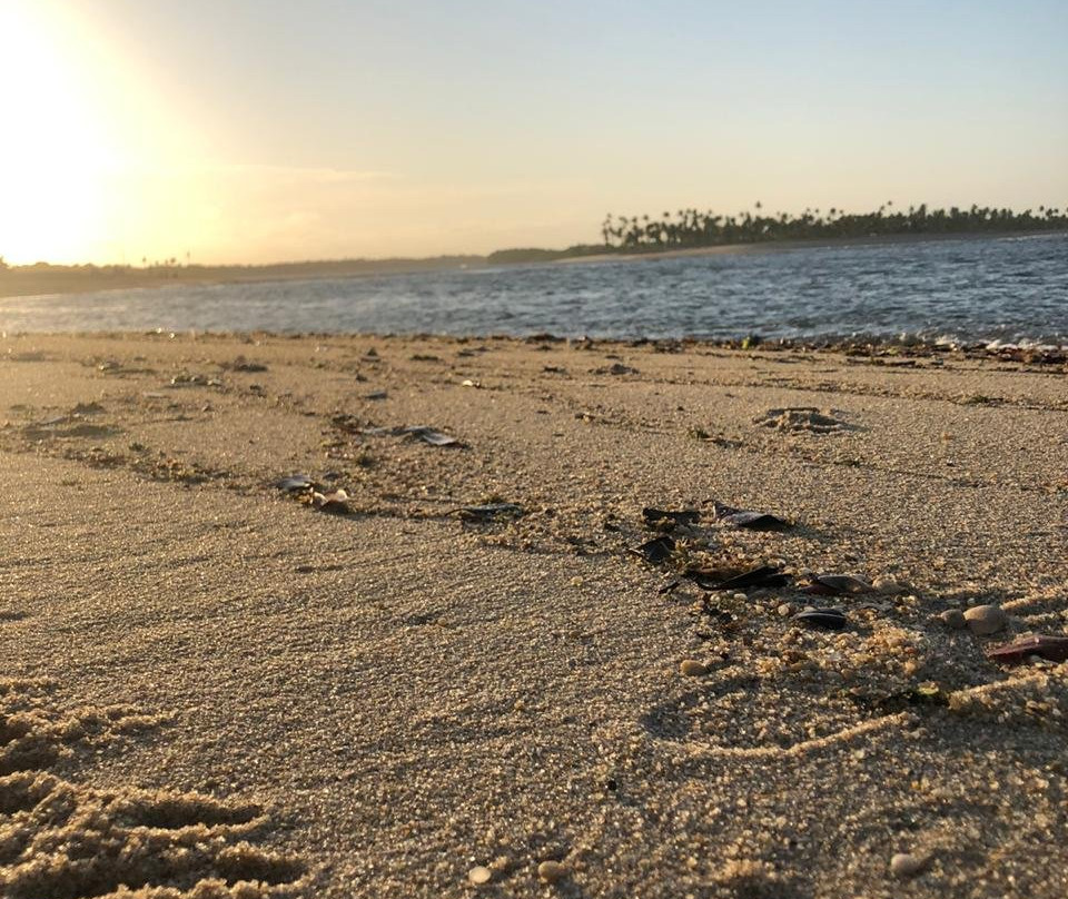 Pousada Anjali主图