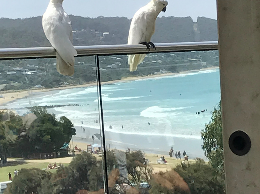 桑德里奇汽车旅馆主图