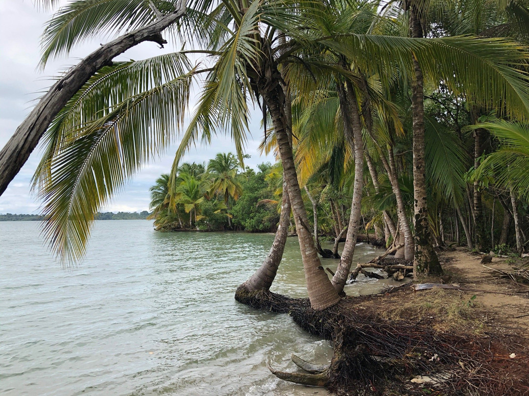 Starfish Beach景点图片