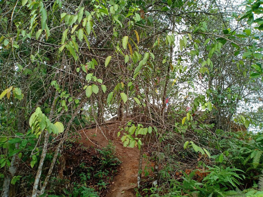 Bukit Mor-Parit Jawa必去景点
