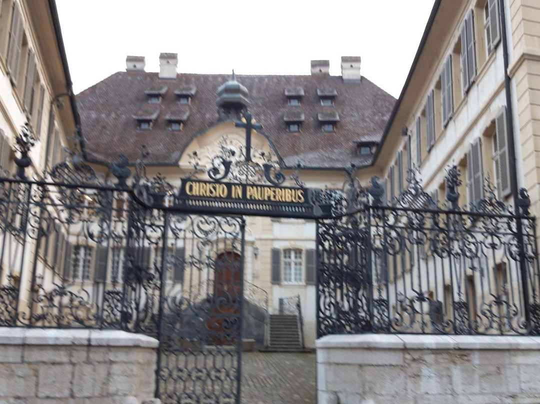 Musée Hôtel - Dieu (mhdp)景点图片
