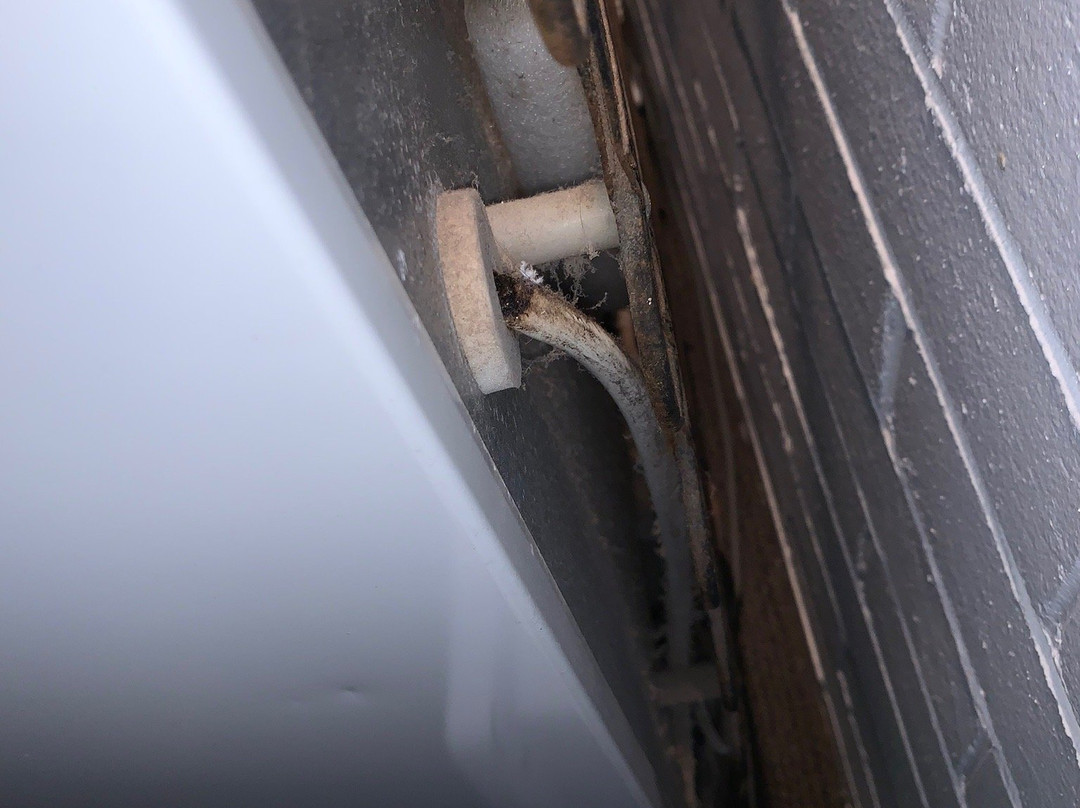 Beachhouse Mollymook主图