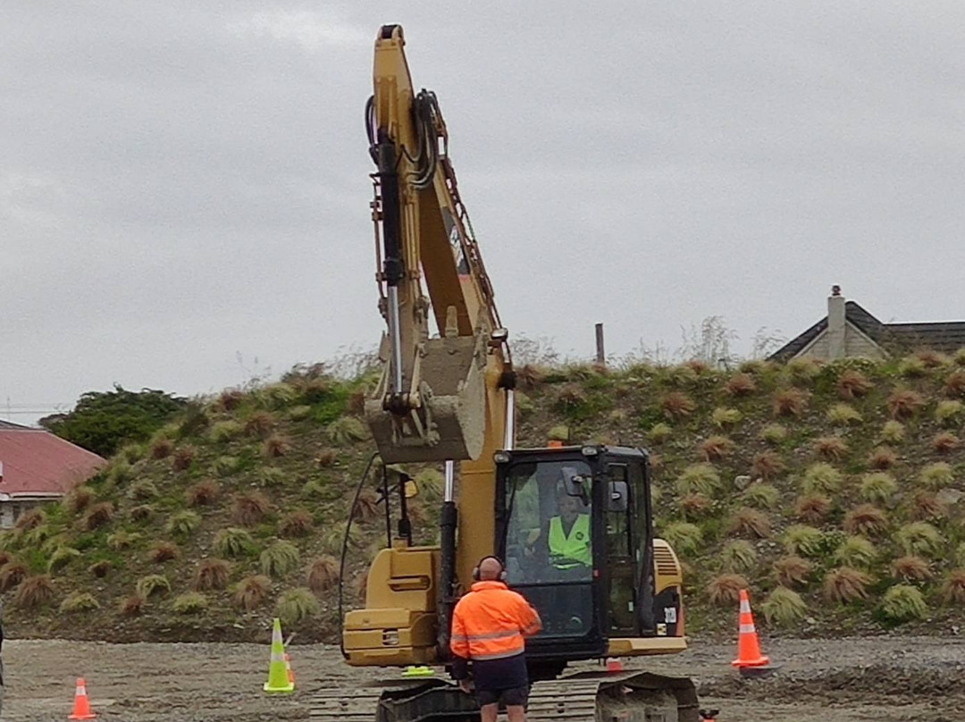 Dig This Invercargill景点图片
