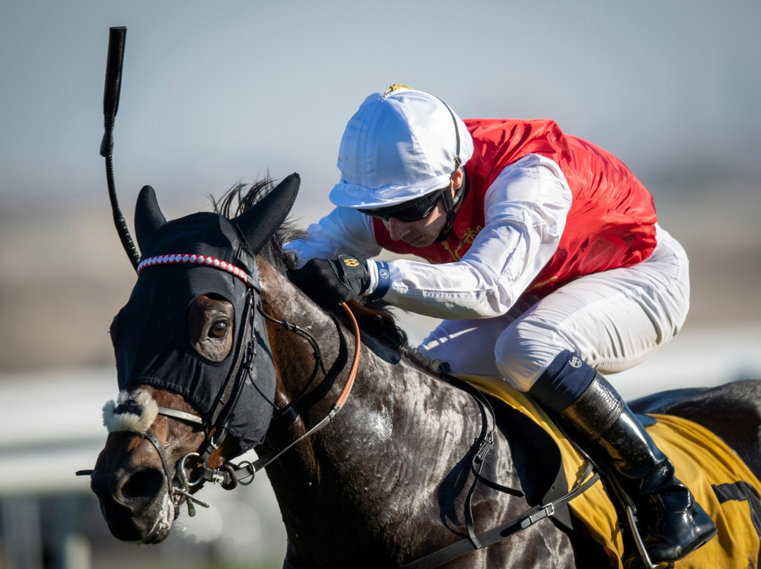 Rashid Equestrian & Horseracing Club-Riffa必去景点