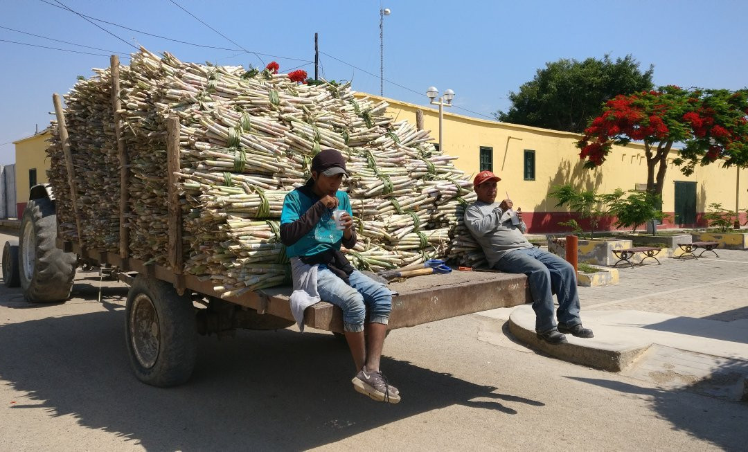 Trw Surfboards-Huanchaco必去景点