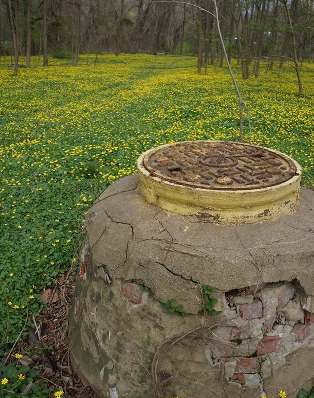 Lane Manor Park-Adelphi必去景点
