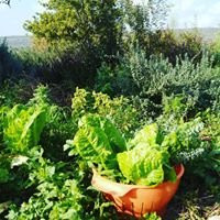 Hagit Lidror-Klil必去景点