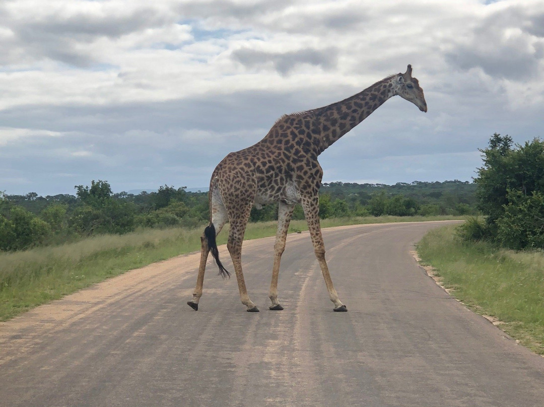 Dawn to Dusk Safaris-雾观必去景点