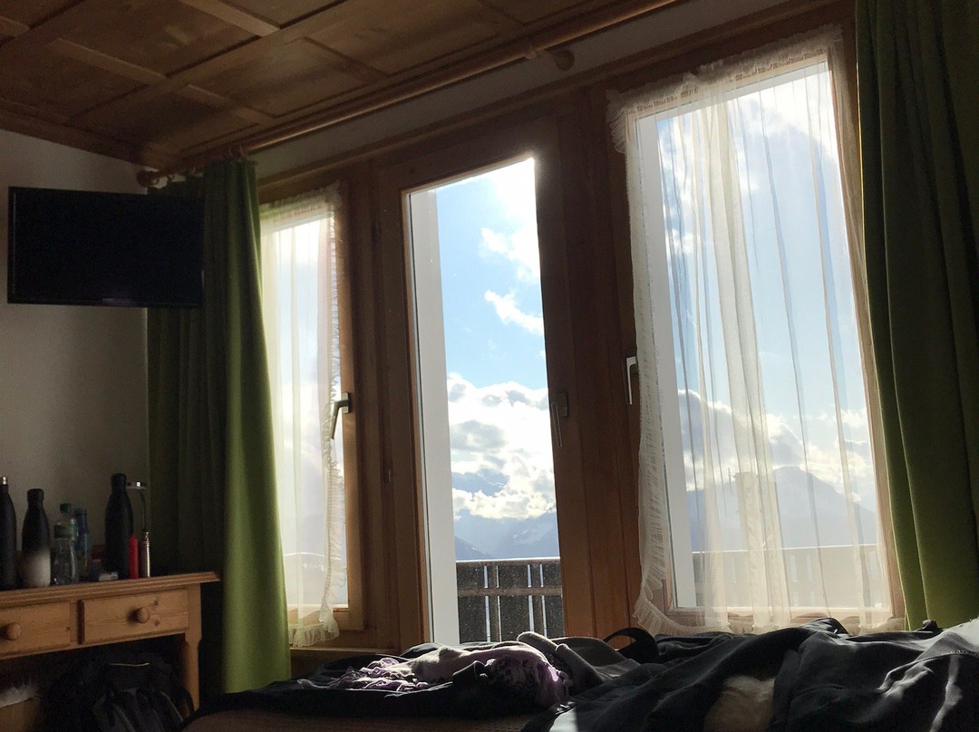Hotel & Restaurant Alpina主图
