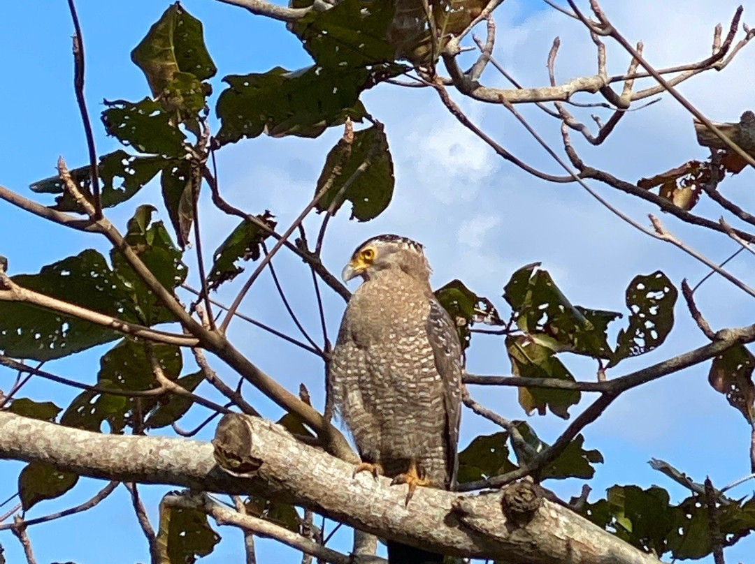 Ishigaki Island Sightseeing Bus (Azuma Bus)-石垣市必去景点