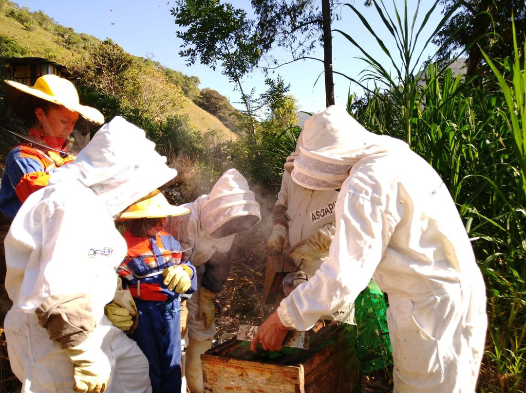 Ruta de las abejas y la miel景点图片