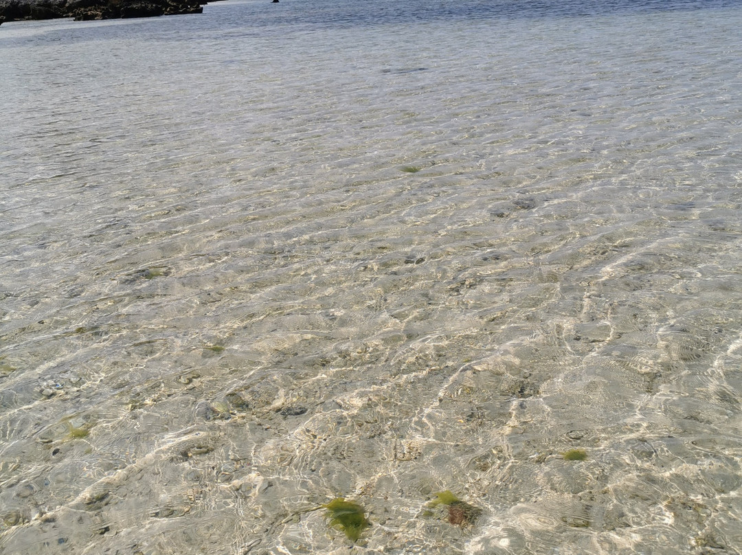 Old Settlement Beach-豪勋爵群岛必去景点