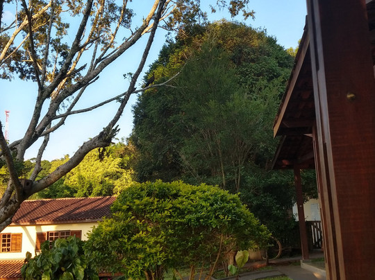 Pousada Casa Amarela主图