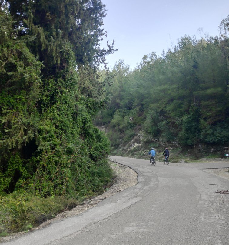 Nachal HaShofet - Shofet River-Ramot Menashe必去景点