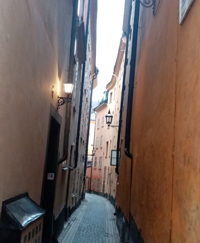 Väddö KanotCentral-Vaddo必去景点