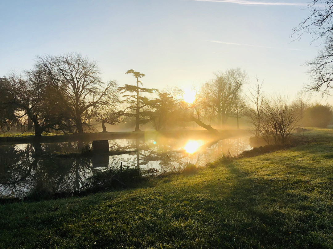 Chateau Escudes主图