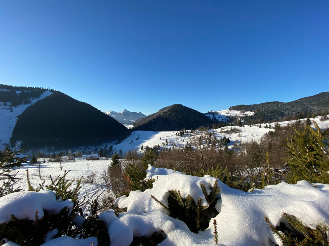 Hotel Havrania主图