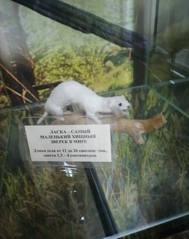 City Council Local History Museum-秋明必去景点