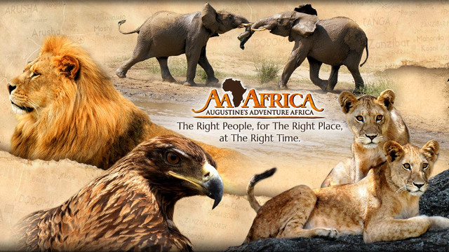 Augustine's Adventure Africa