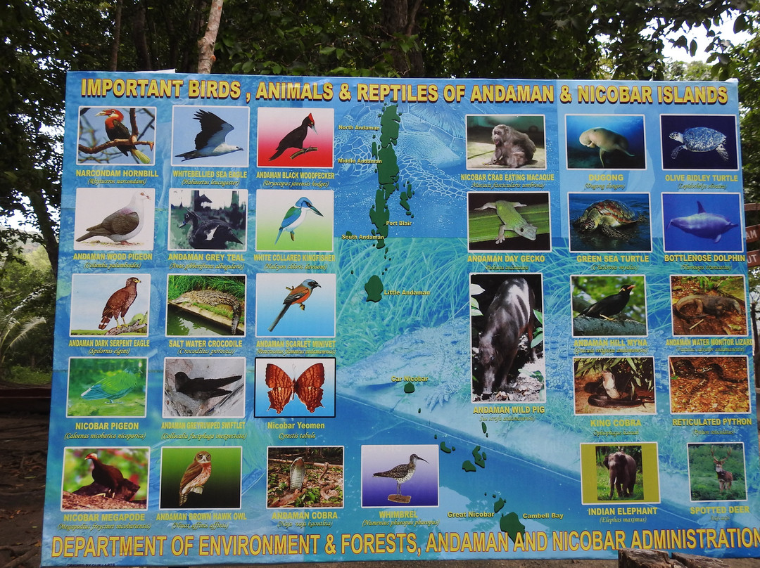 Munda Pahad Beach-布莱尔港必去景点