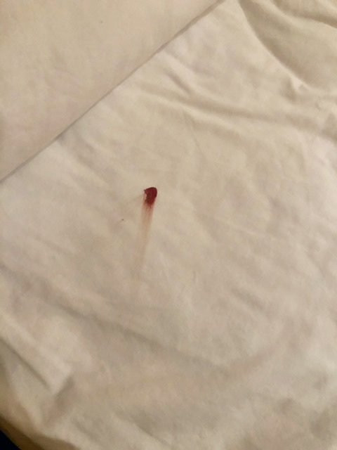 巴特尔斯维尔费尔菲尔德客栈及套房酒店主图