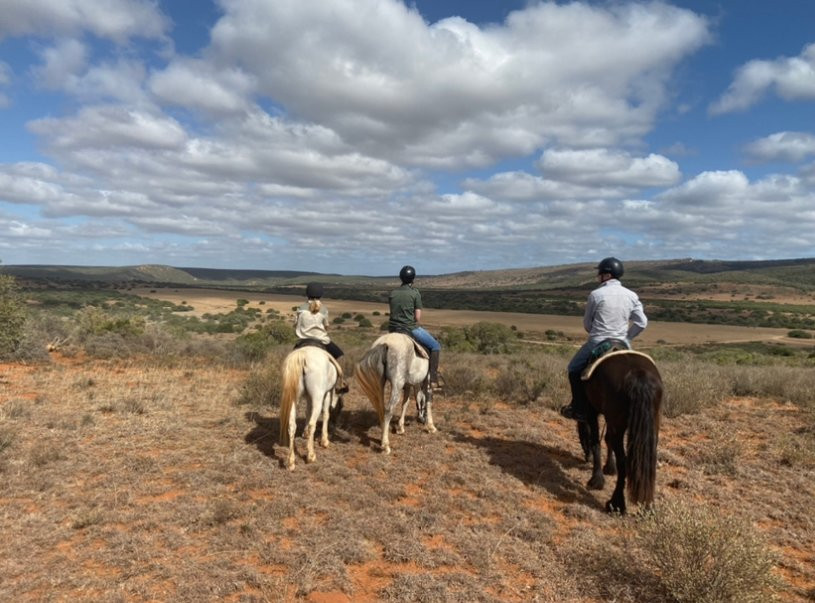 Amakhala Horse Trails-伊丽莎白港必去景点