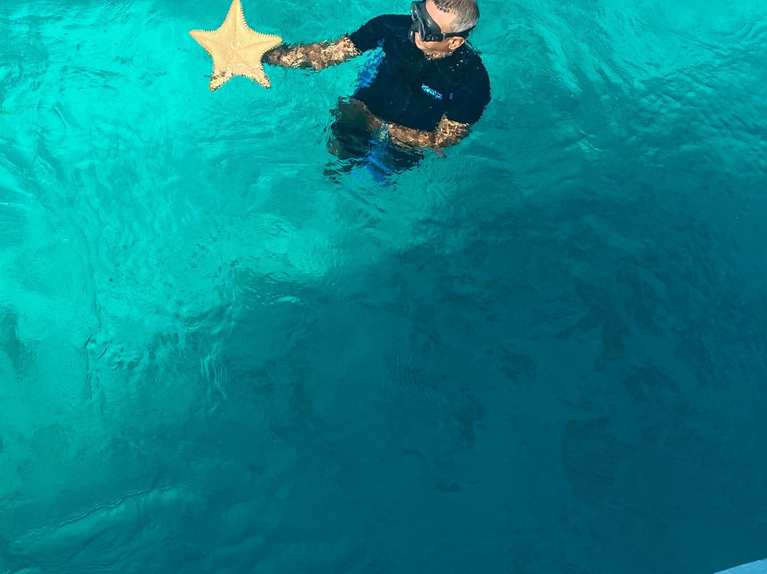 Glass Bottom Boat景点图片