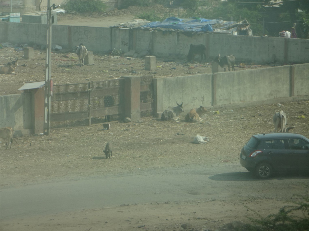 Ambar Sarovar Portico主图