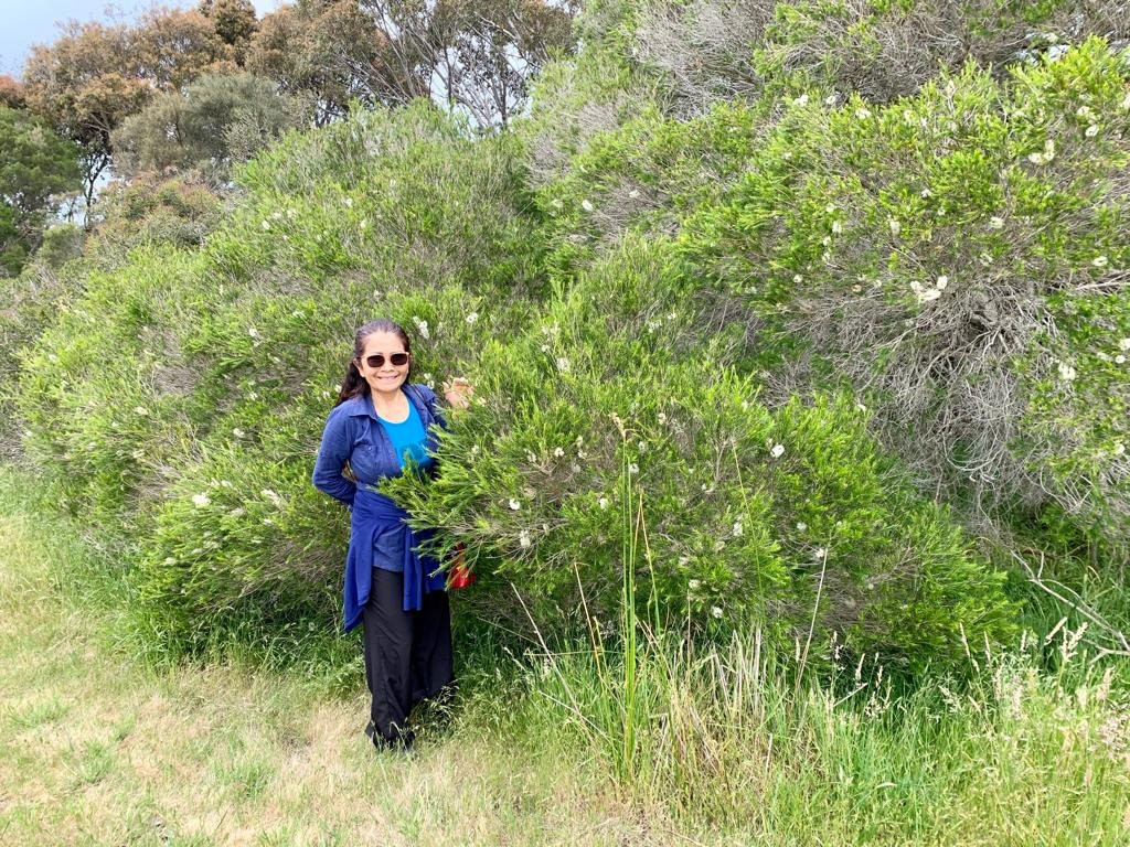 Rhyll Inlet State Wildlife Reserve景点图片