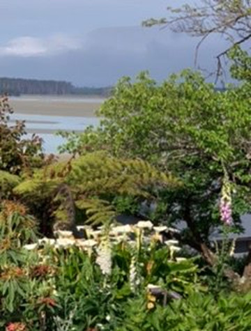 Te Koi - The Lodge At Bronte主图