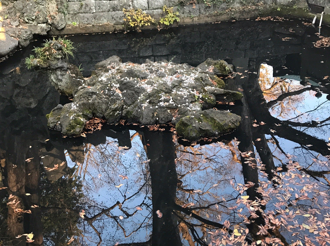 Naritasan Shinsho-ji Temple Issaikyodo景点图片