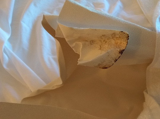 Towneplace Suites Fredericksburg主图