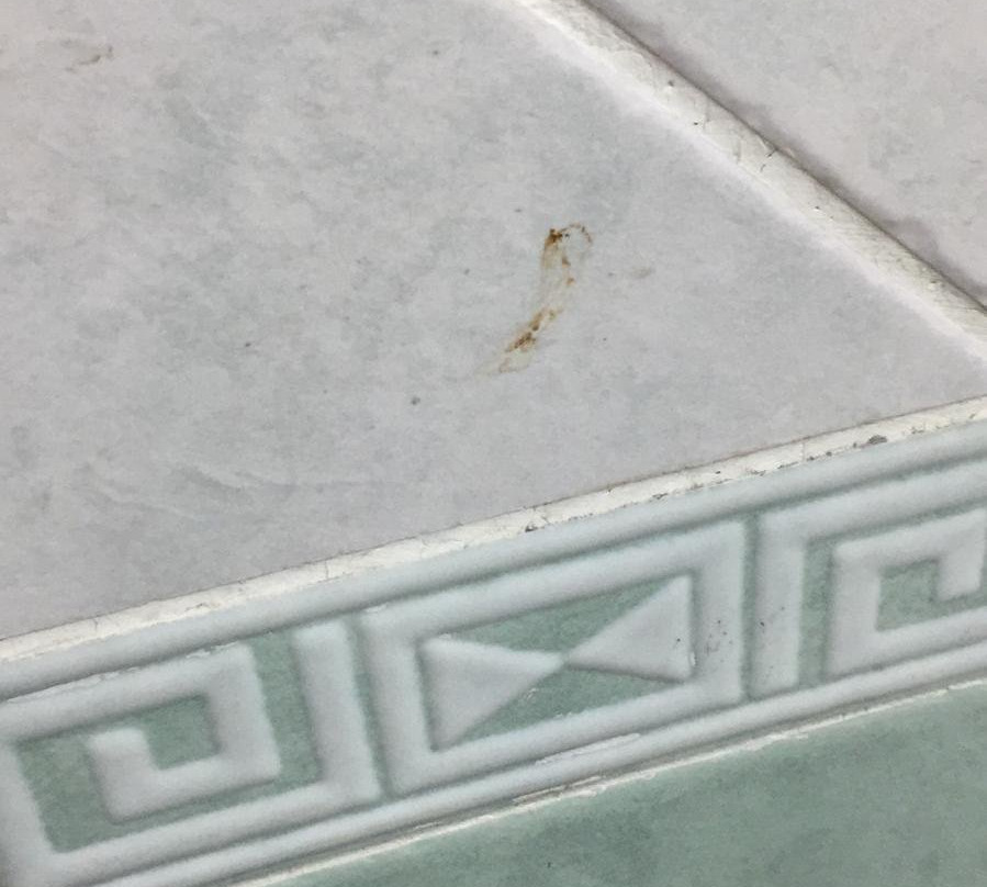 Flora Park Hotel Apartment主图