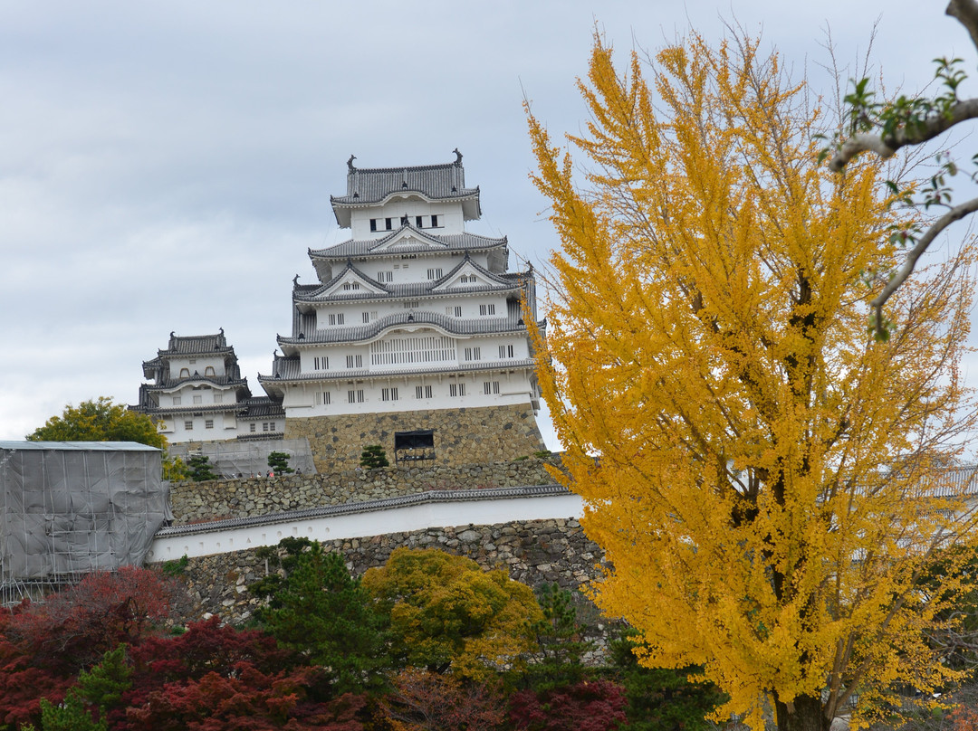Himeji Park-姬路市必去景点