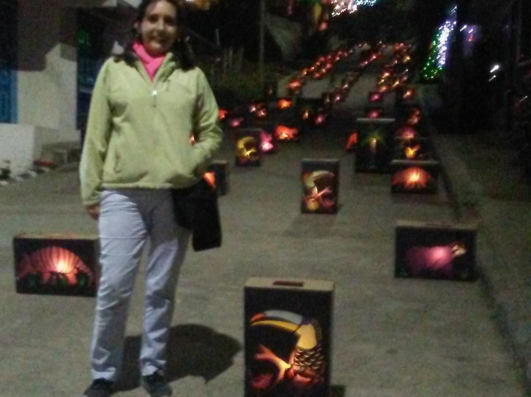 Ecoparque the Mirador Alto De La Cruz-萨伦托必去景点