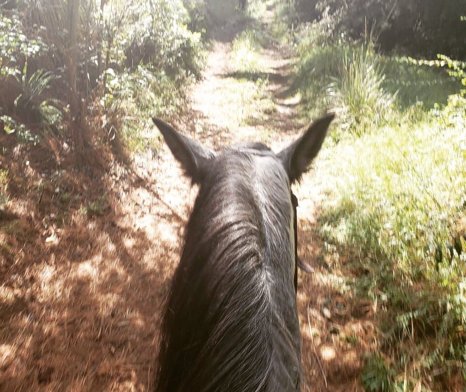 Torres, Equestrian Adventures-墨西哥城必去景点