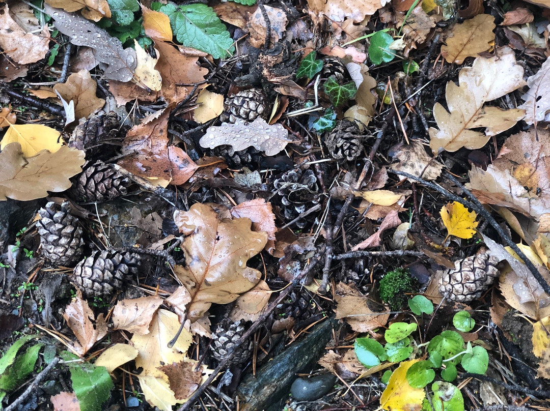 Rec del Sola-安道尔城必去景点