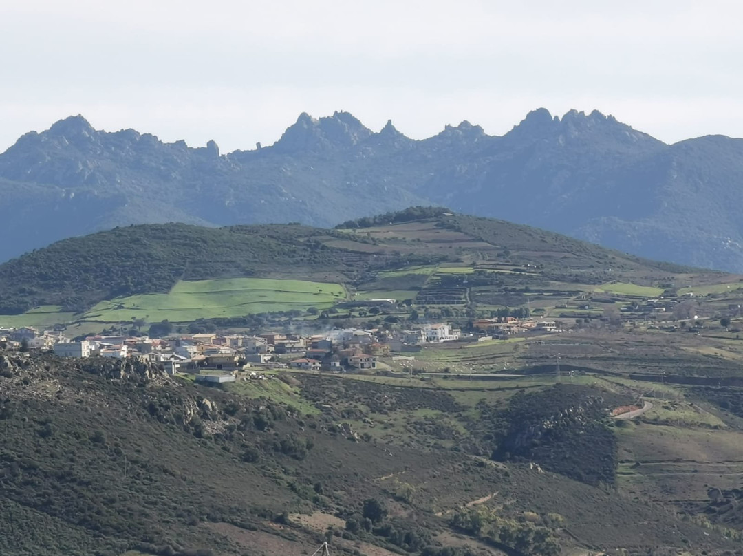 Parco Naturale Regionale dei Sette Fratelli-Burcei必去景点