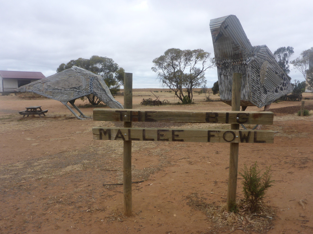 Mallee Hen Sculptures-Patchewollock必去景点