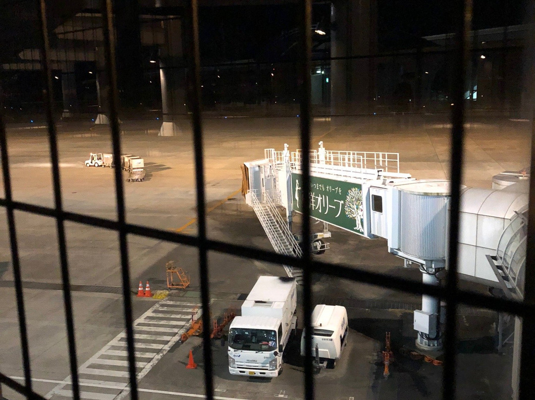Takamatsu Airport Observation Deck景点图片