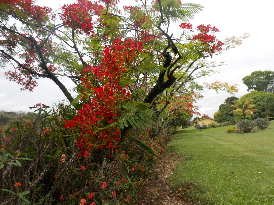 Fazenda Santo Antonio da Bela Vista-伊图必去景点