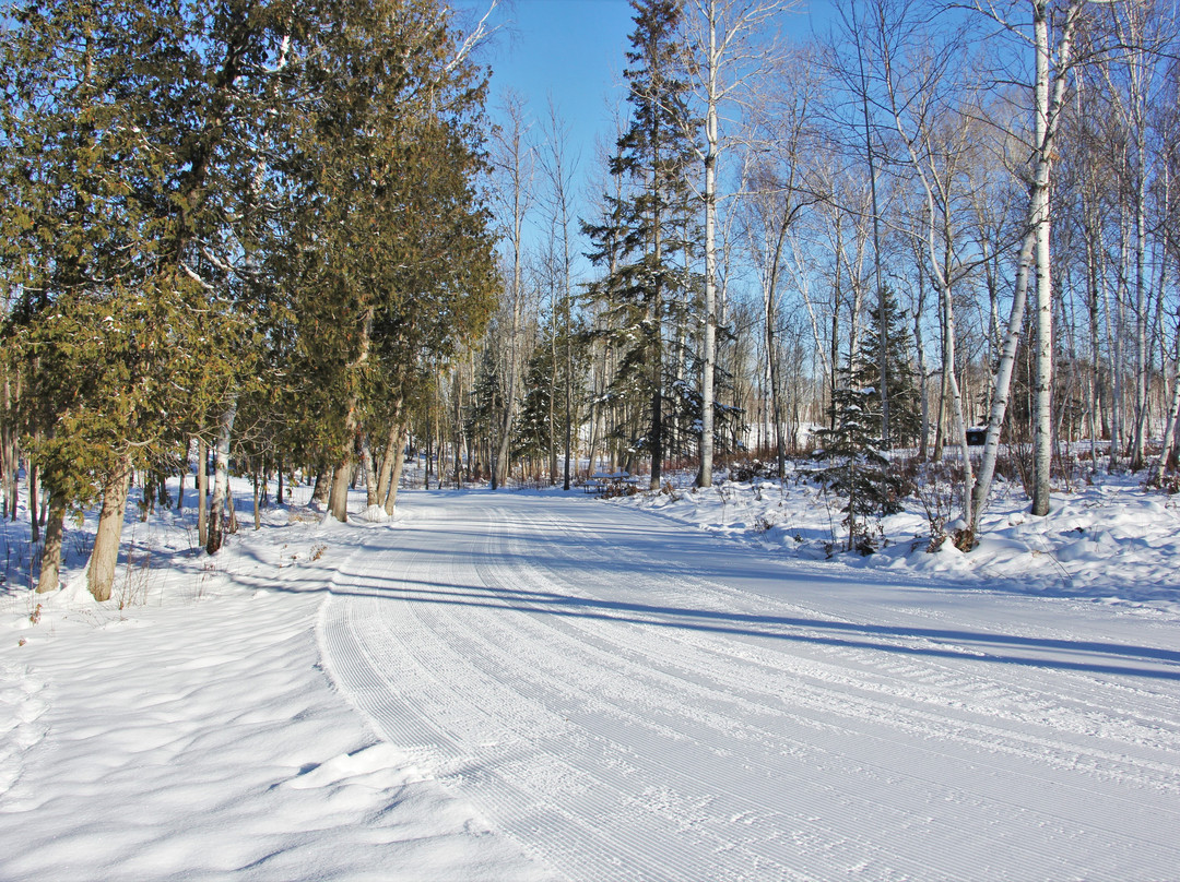 Kivi Park-Sudbury必去景点