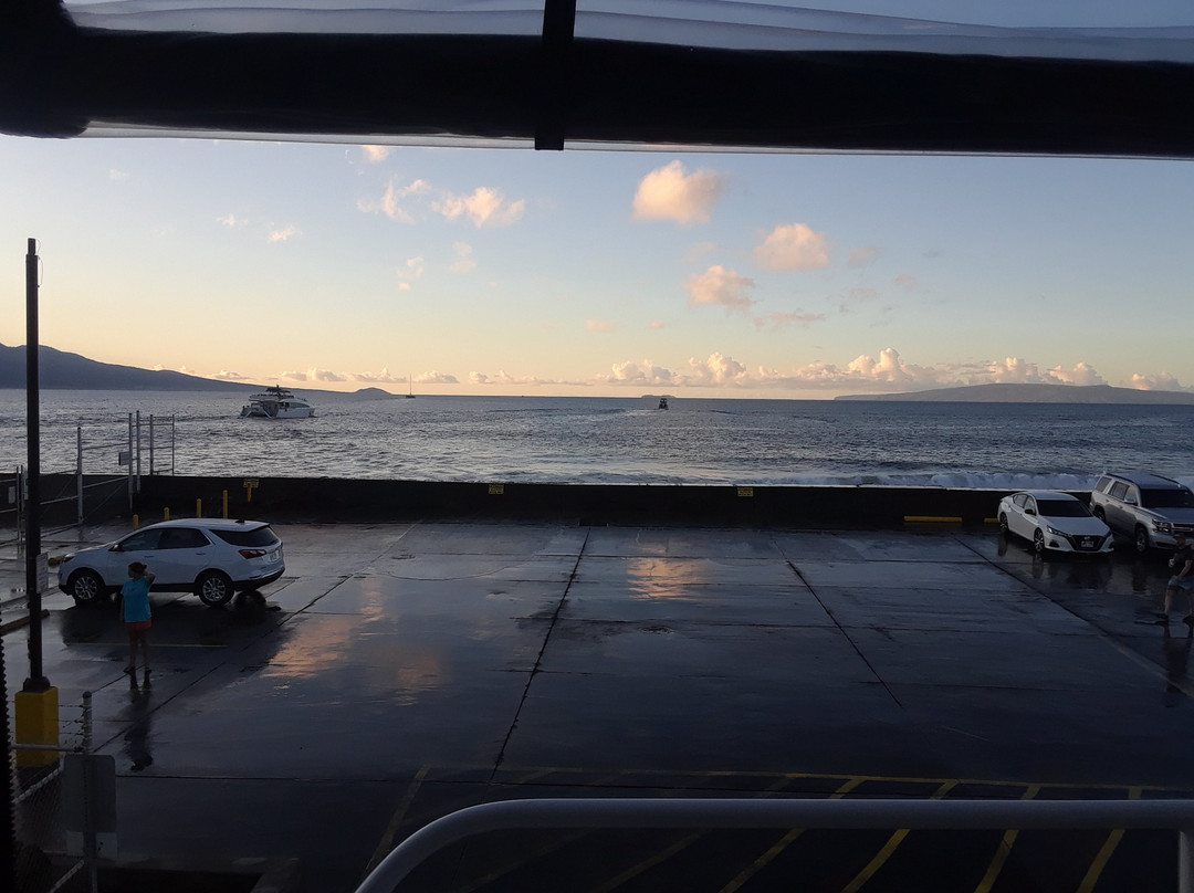 Maalaea Harbor-玛阿拉也亚必去景点